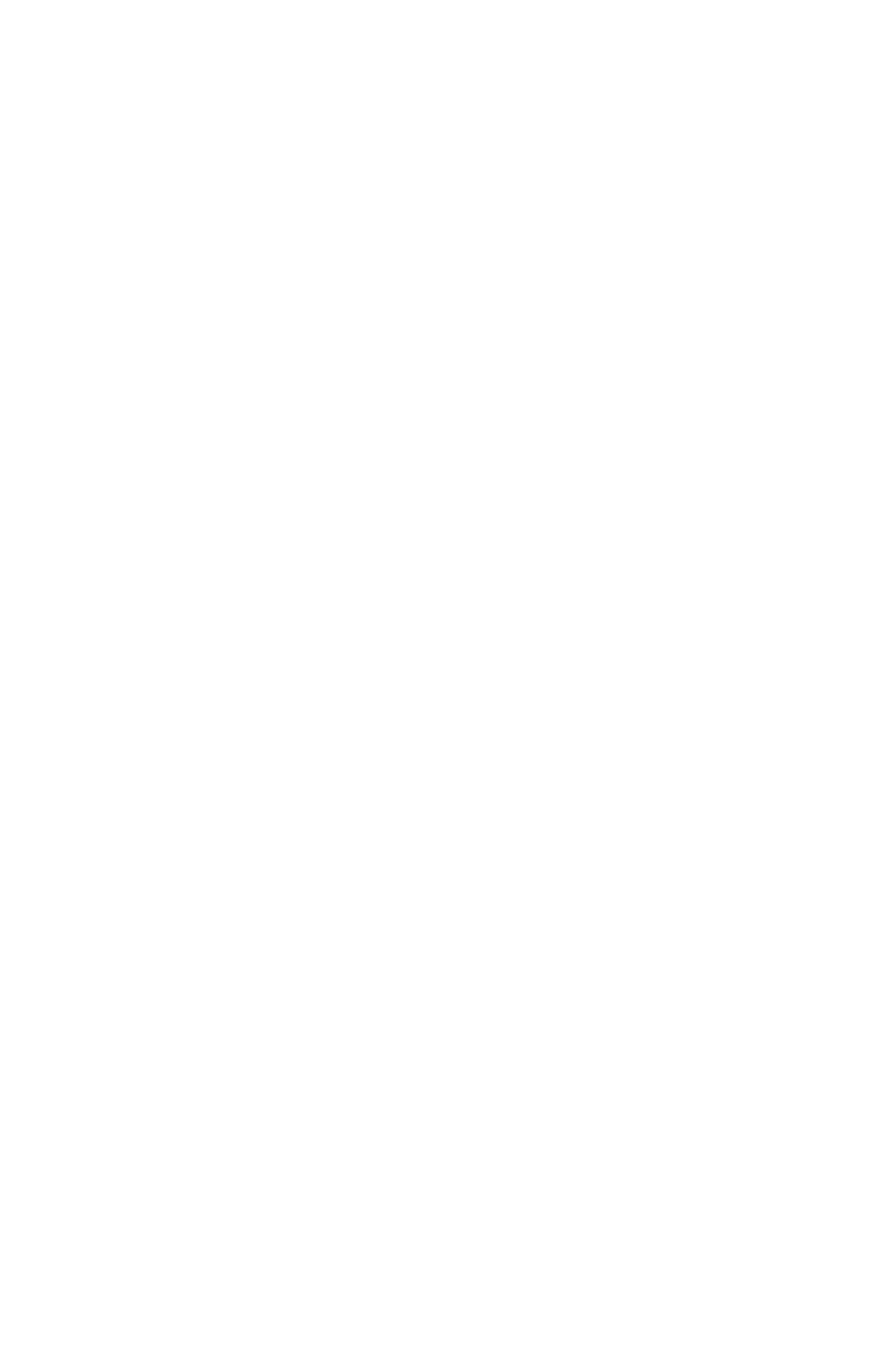 Matrimonio Conectado